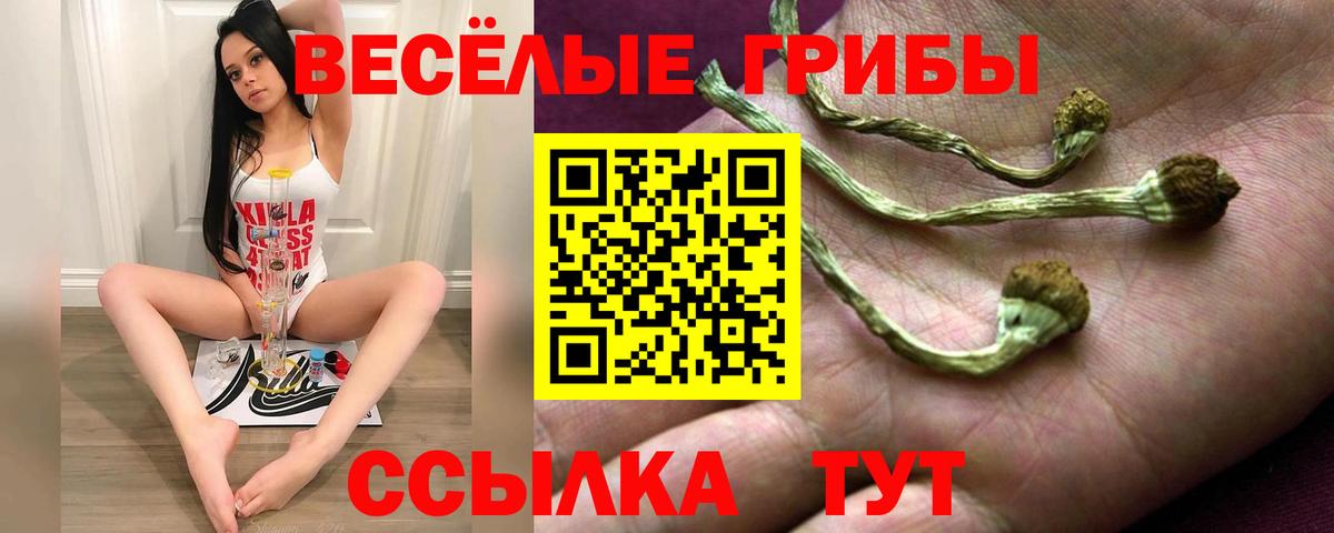 Галлюциногенные грибы ЛСД  Вход с VPN  наркошоп  Дубна 